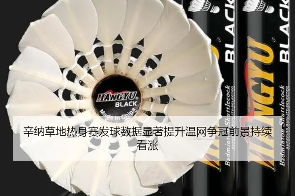 辛纳草地热身赛发球数据显著提升温网争冠前景持续看涨